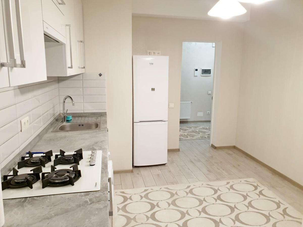 Center Apartment On Albisoara Street 키시나우 외부 사진